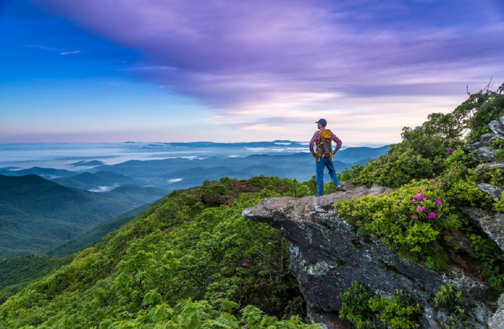 Asheville-eco-living